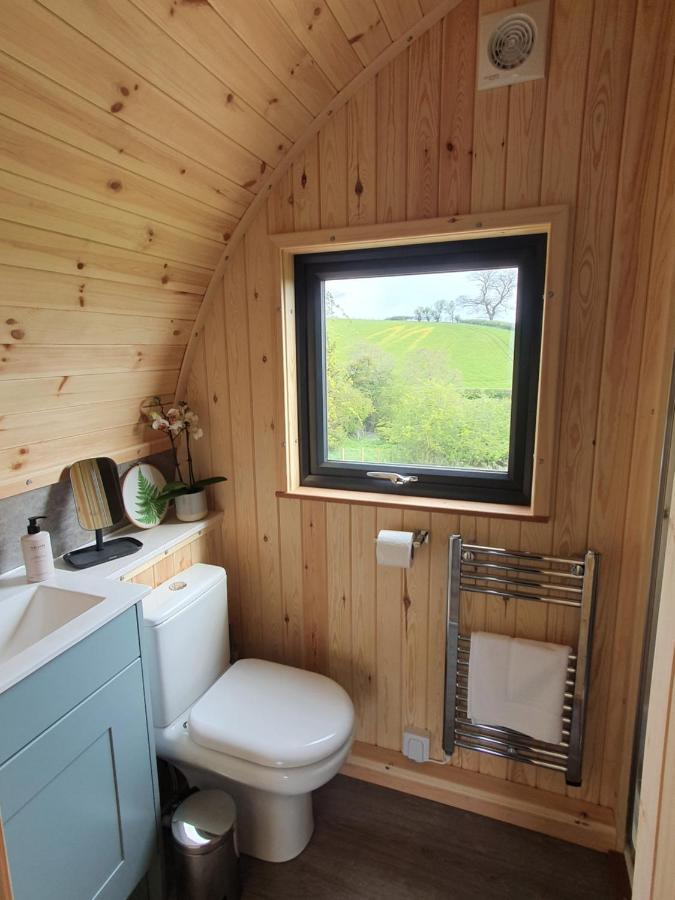 Odli Glamping - Luxury Glamping Pod Villa Welshpool Ngoại thất bức ảnh