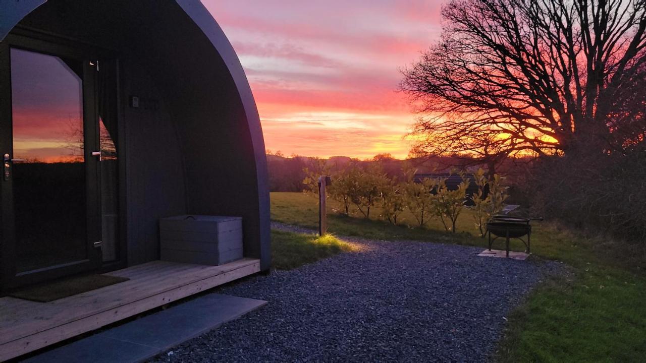 Odli Glamping - Luxury Glamping Pod Villa Welshpool Ngoại thất bức ảnh